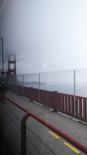 21077502_1424813514299305_994562304489209934_n