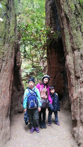 21034236_1424827610964562_4346090008795779498_n