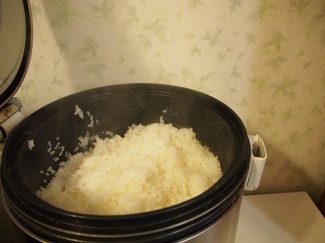 P4211223 - ¥³¥Ô¡¼