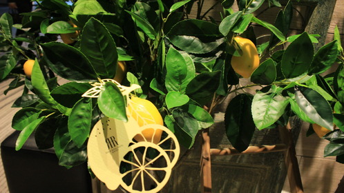 ����OUSOUIMG_4731 (20)