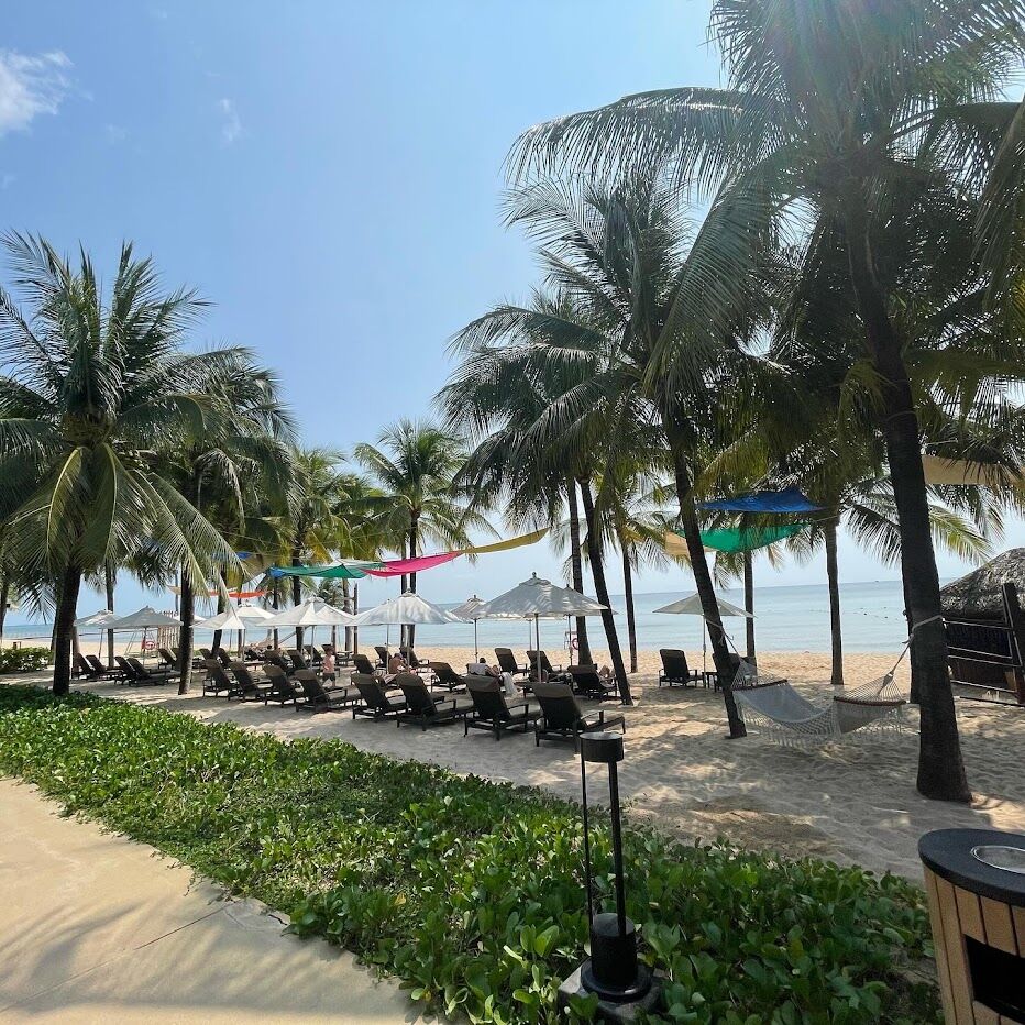 A9EE91F6-CDBF-46E8-B652-0347BAE17E8B