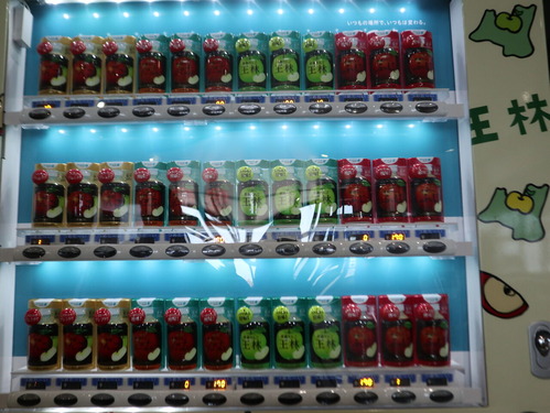 ÀÄ¿¹£²ÆüÌÜ (12)