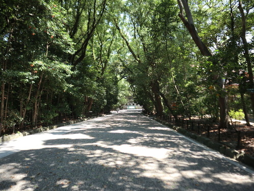 IMG_0062 - ¥³¥Ô¡¼