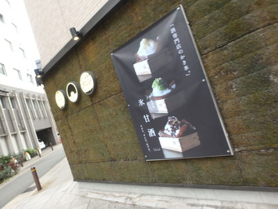 P9066131