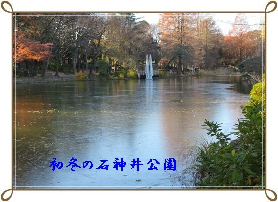 201220石神井公園・12月例会 (2)c