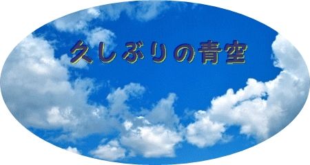 練馬区桜台地区区民館展 花すみれ