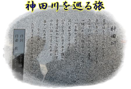 神田川を巡る旅 花すみれ