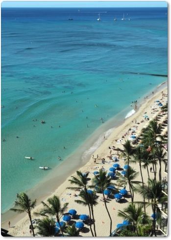 オアフ島 ワイキキ マジカルアワー 花すみれ