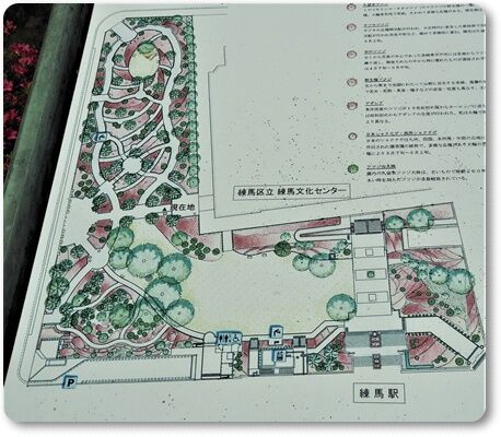 練馬区立 平成つつじ公園 花すみれ