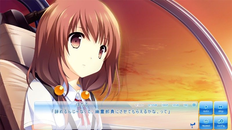 この大空に 翼をひろげて Flight Diary 姫城ほたる レビュー 黒猫夜行のブログ この大空に 翼をひろげて Flight Diary 姫城ほたる レビュー 黒猫夜行のブログ