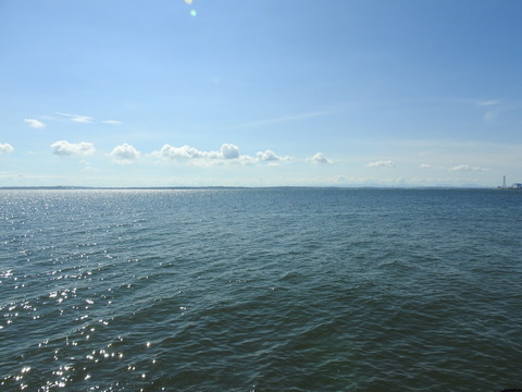 DSCN0946