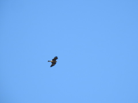 DSCN0965