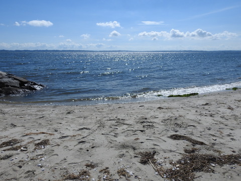 DSCN0952