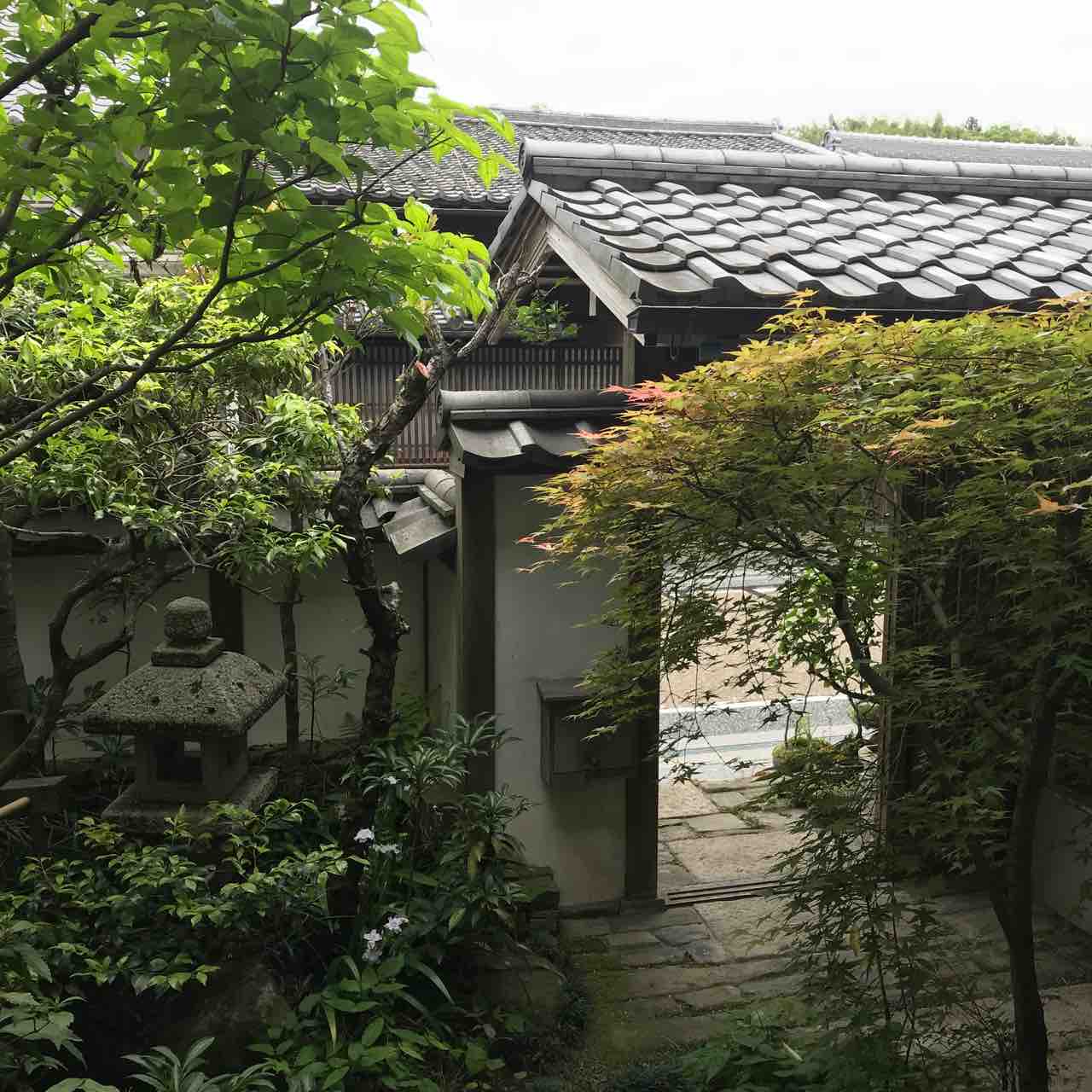 実家とくらもちふさこ 古い家と小さい庭とねこ 実家とくらもちふさこ 古い家と小さい庭とねこ