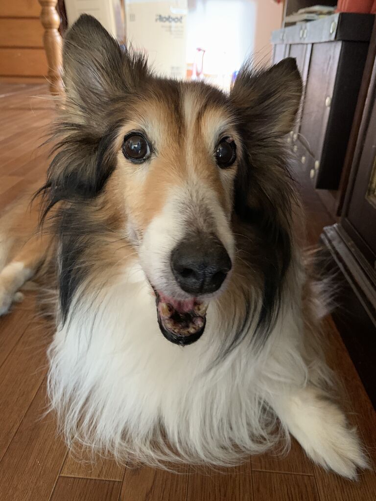 9D6B6207-12D3-4D69-BF69-3CD9626E016D