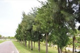1a4be857.JPG