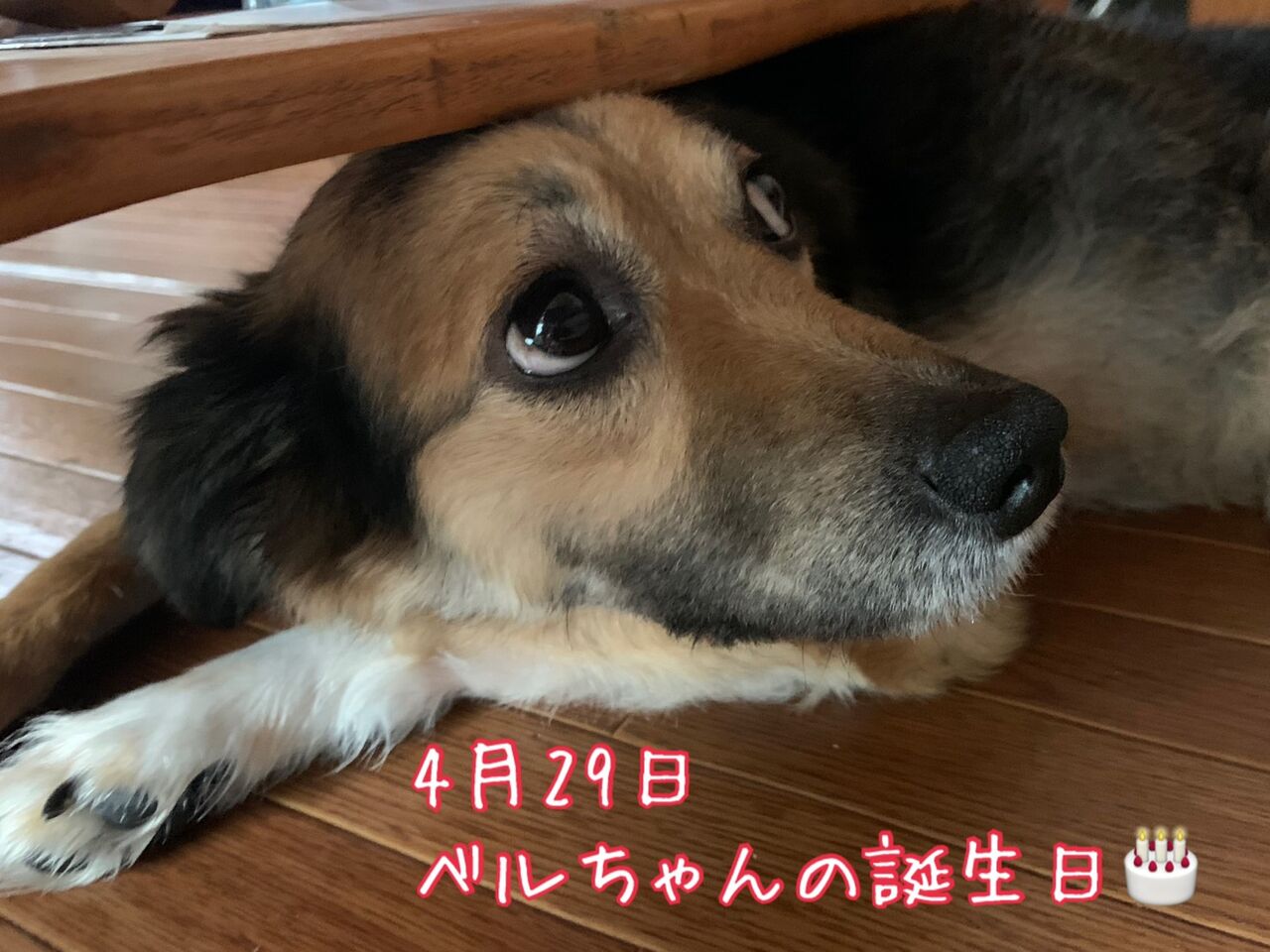 A8AA7E31-3533-4FB5-AB9C-9FDB1403D6E9