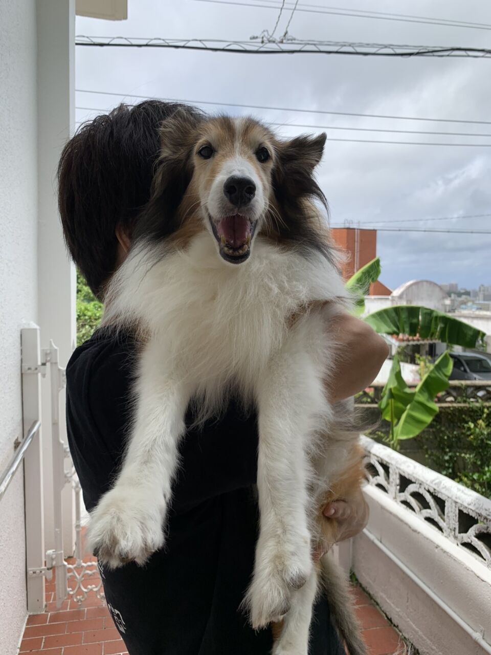 ABB74E64-A704-4813-9032-2CA6FA1C8AB3