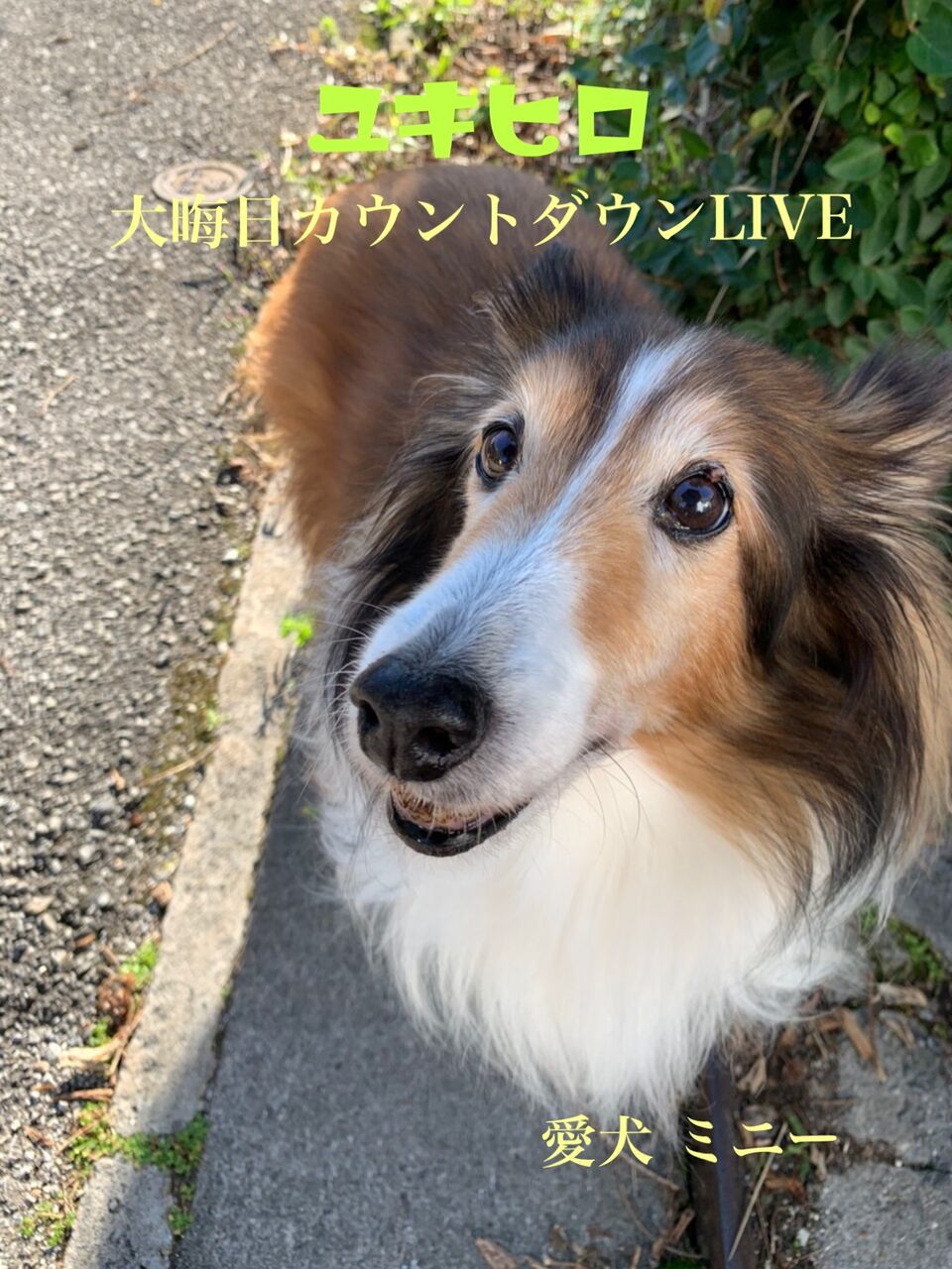 72631C23-09C2-490A-B850-3101176FBBAB