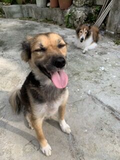 FF681C9A-0F7E-47B7-A926-DF9C48F92D37