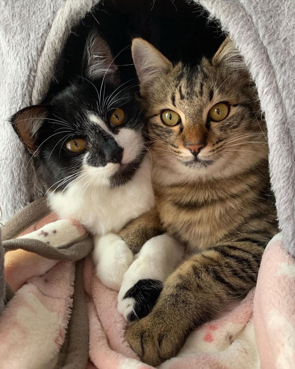 542069C3-1B39-4A13-A0A8-C0DF9205928E