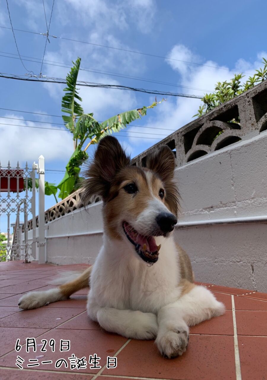 C5F9F8DB-4E41-4177-BB6B-998428CB3E85