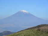 fuji