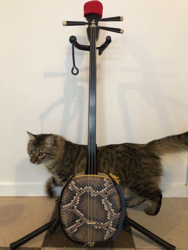 AC57C164-E765-4F2D-80C3-9B3C7DC74483