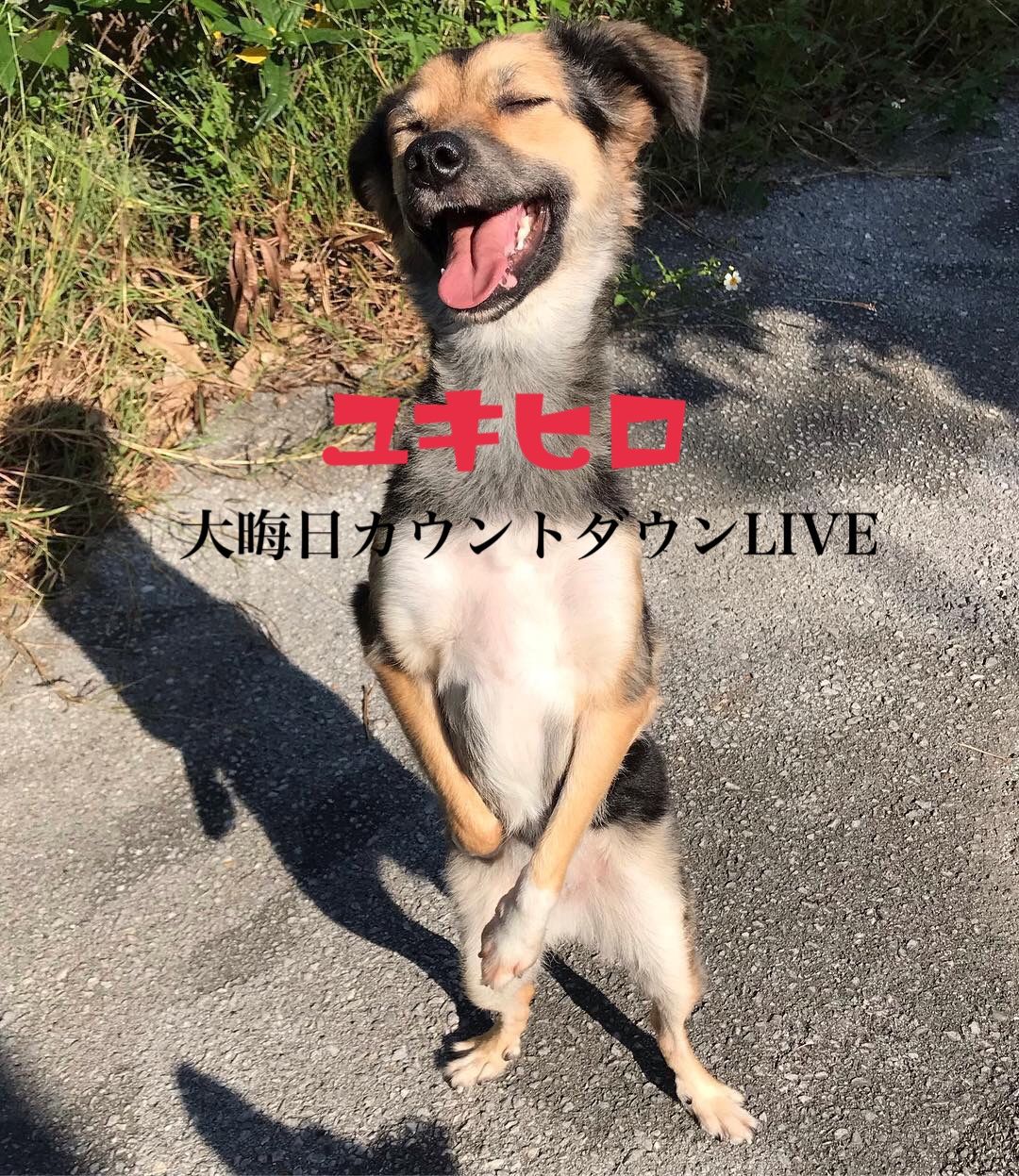 66E9B1B5-3FB8-4C0E-BB8F-4329E948E05D