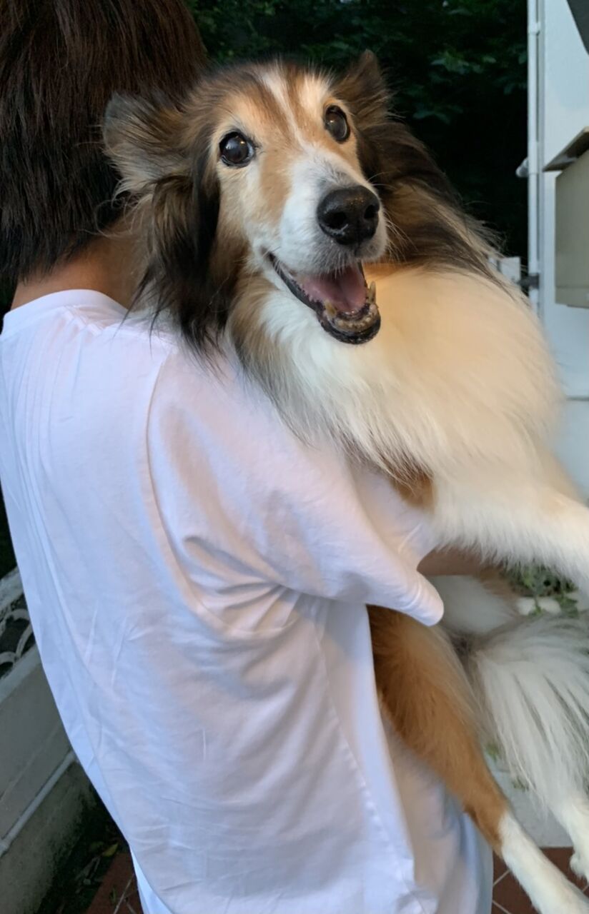 C76E4BE5-E951-4350-B4AB-85636CCCBE46