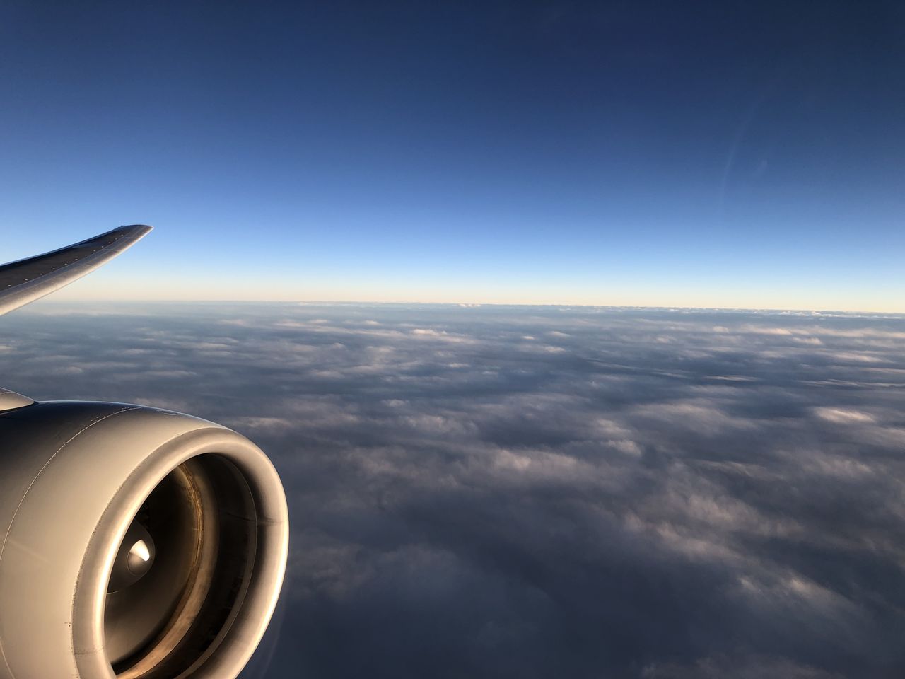 1F4223B3-4241-4252-90E6-C909D0B61A99