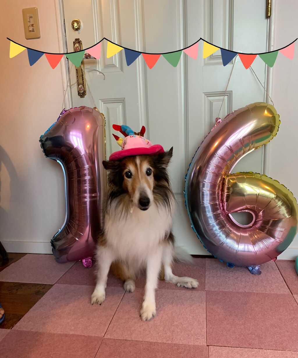 11B35E42-BD27-4D3D-B586-7A99AB2040A6