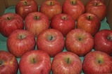 511884c2.JPG