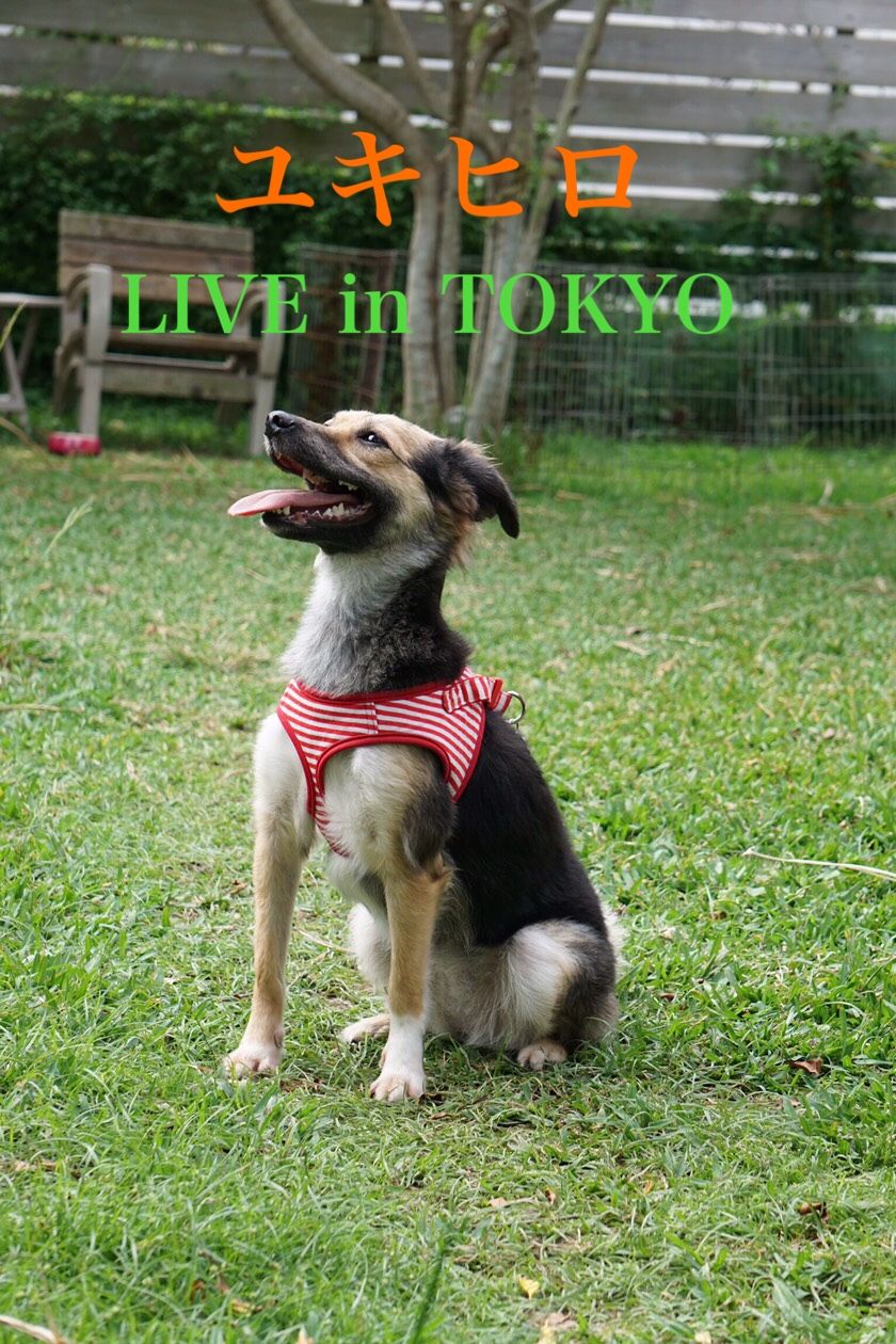 971FA135-17A2-45B8-92A0-3B9E63605FBC