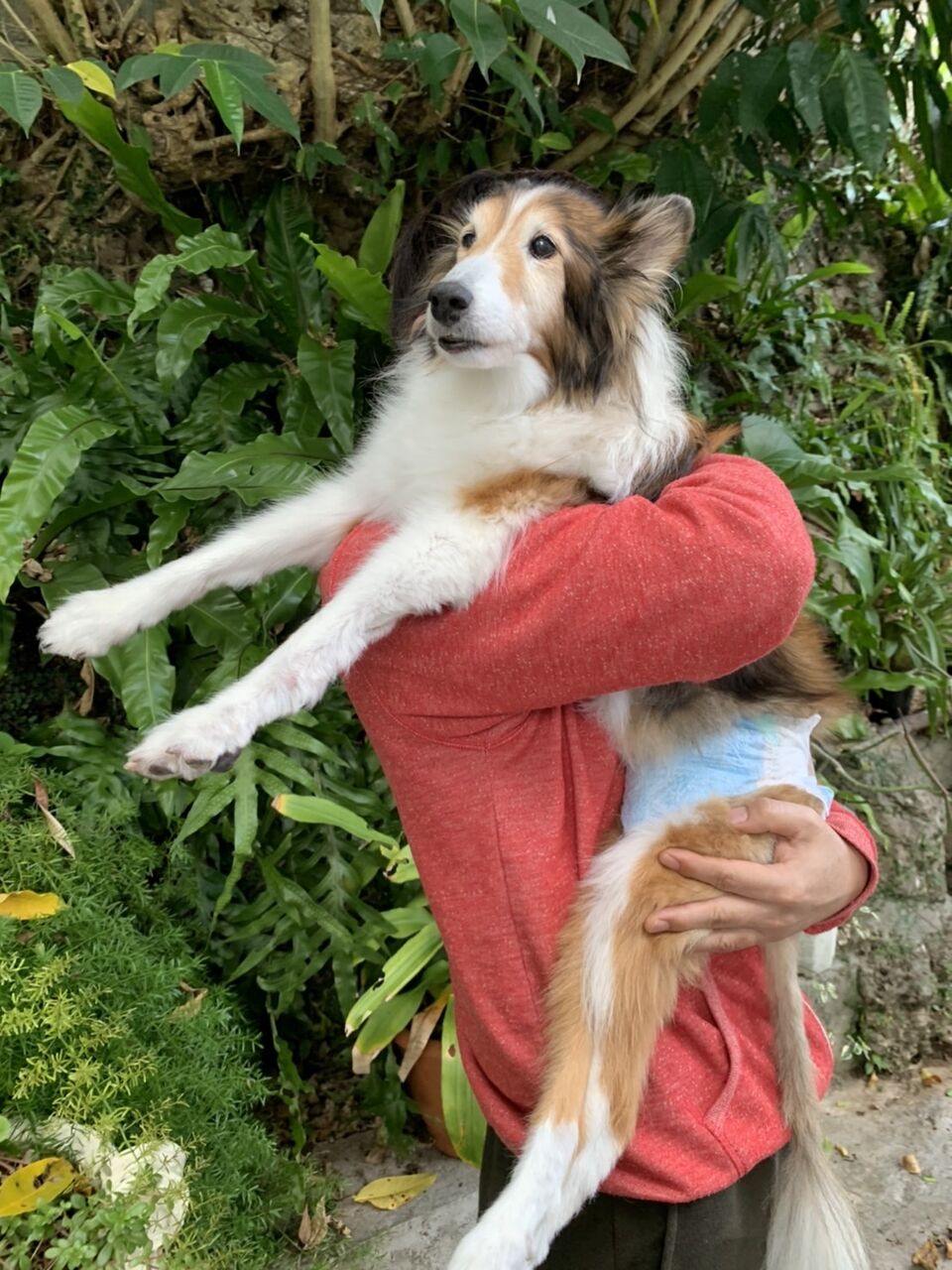 86F81310-D3F7-46EB-A8F3-1344F3CDAB52