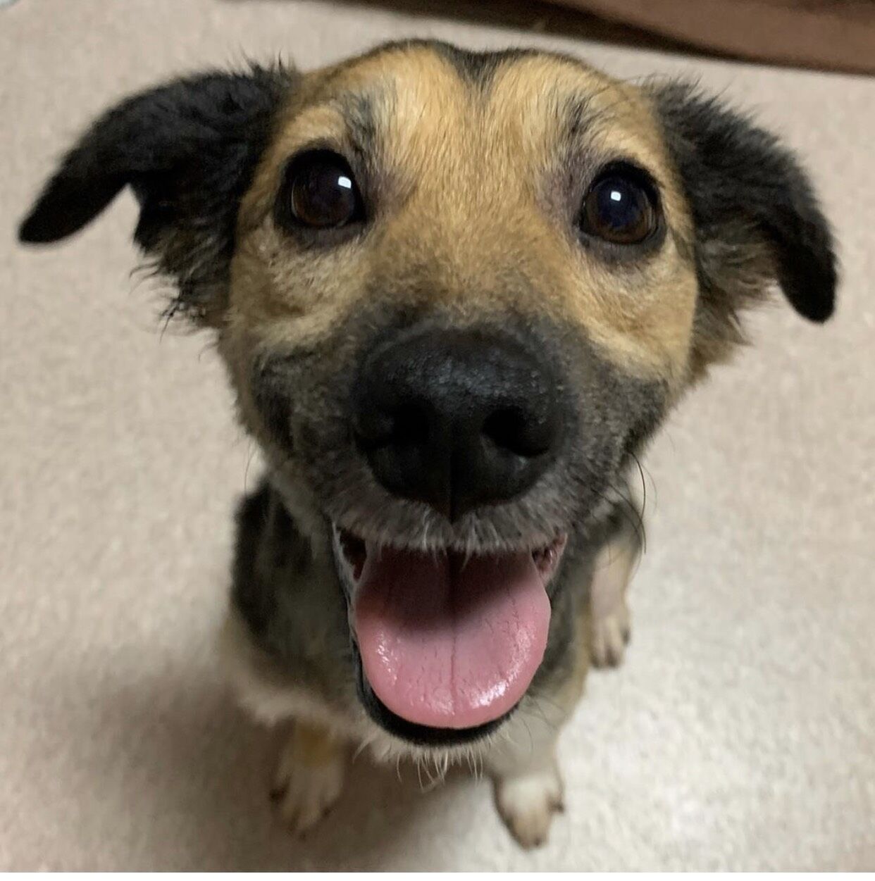 5549F0A0-335D-4C1D-950E-37039A217AC8