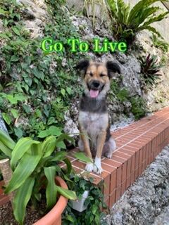 21AD2BEB-76E3-42F3-AE67-CD87F87A7634