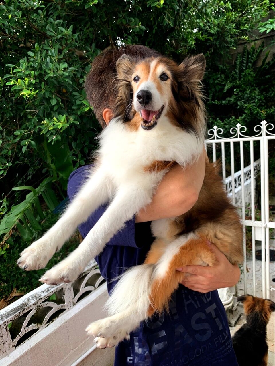 C8678F91-7B3B-42BF-9829-4167D04CA995