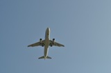 817428e7.jpg