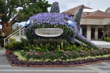 8248e030.jpg
