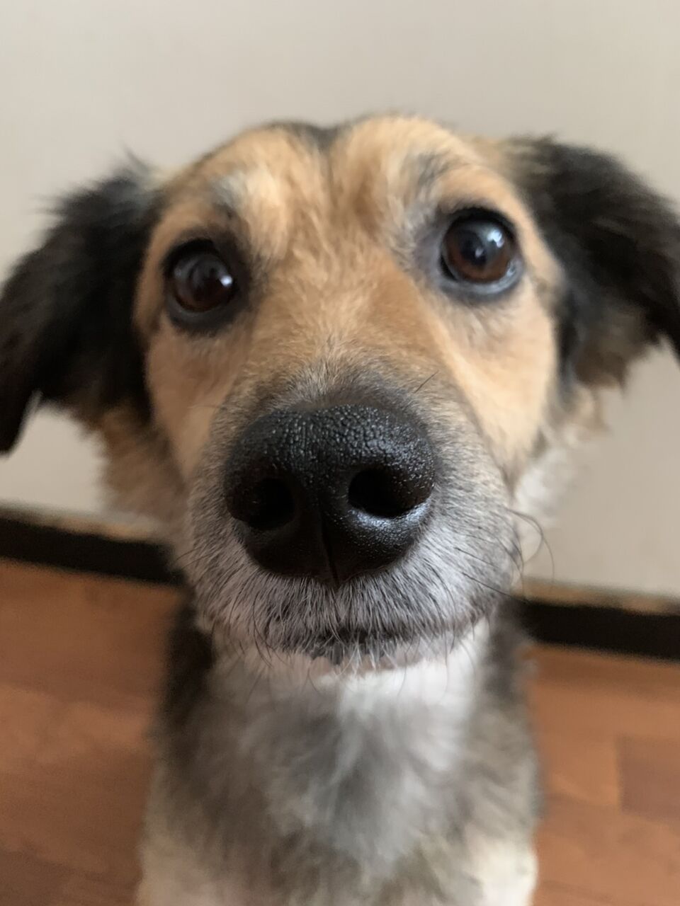 BCB63870-6F8C-4214-B30A-CC4FB9F68B86