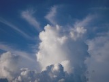 8f7185d5.jpg