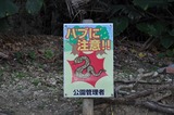 90cbc7f4.jpg