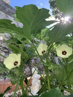 5A18A04E-DE0F-4211-A30A-4B8C4ADFAEFB