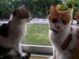 DSCN1432.JPG