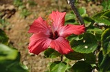 b0e605a6.jpg