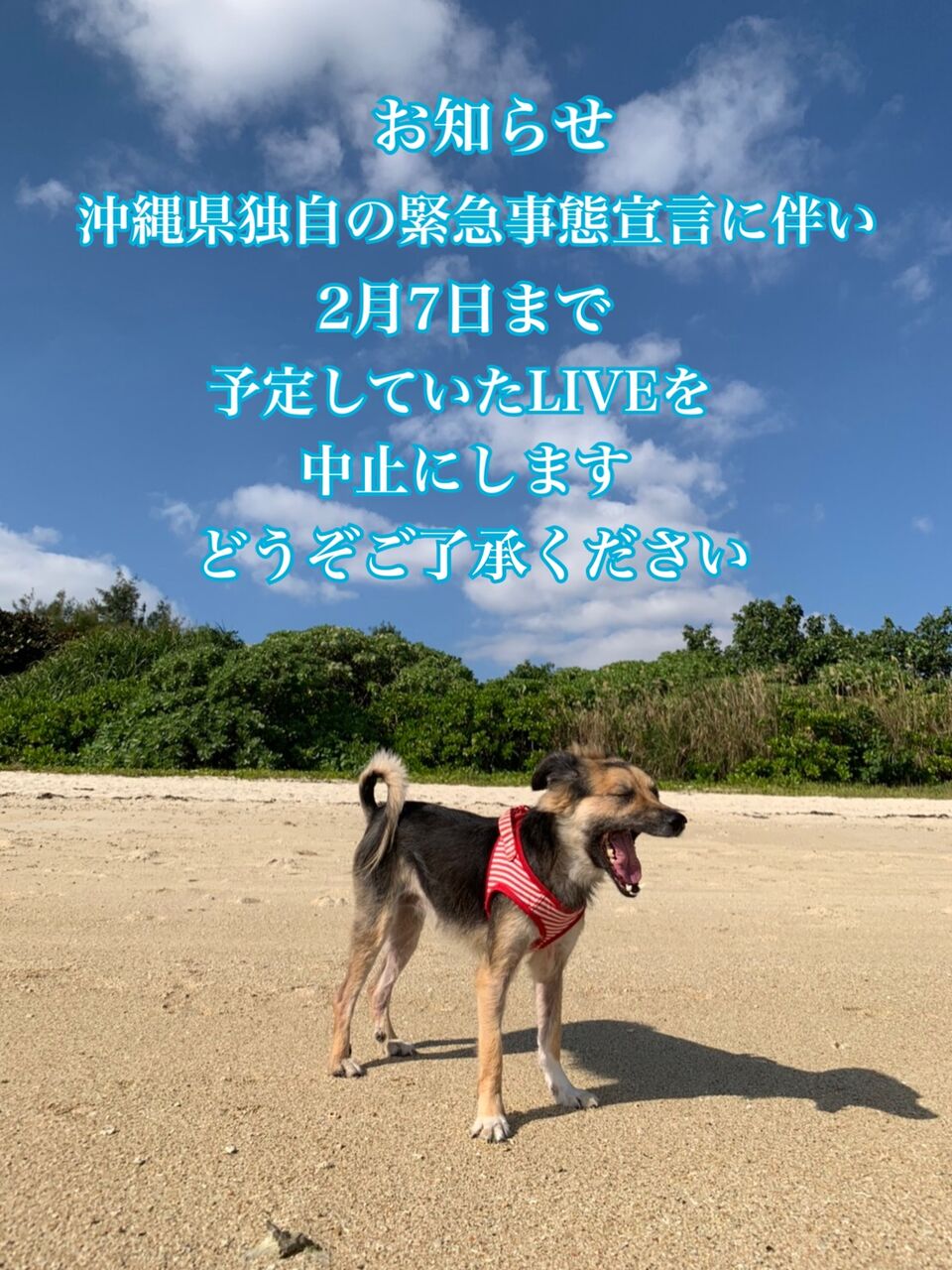 1331C297-2F91-4F60-A9DC-AC6D86C3CCB7
