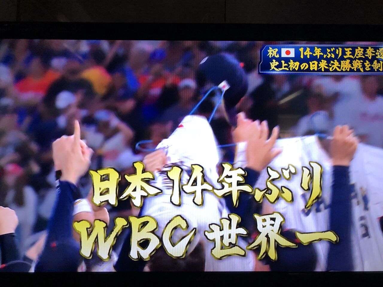 930E00F9-FA71-4EFA-9551-FC02E8DC6CF3