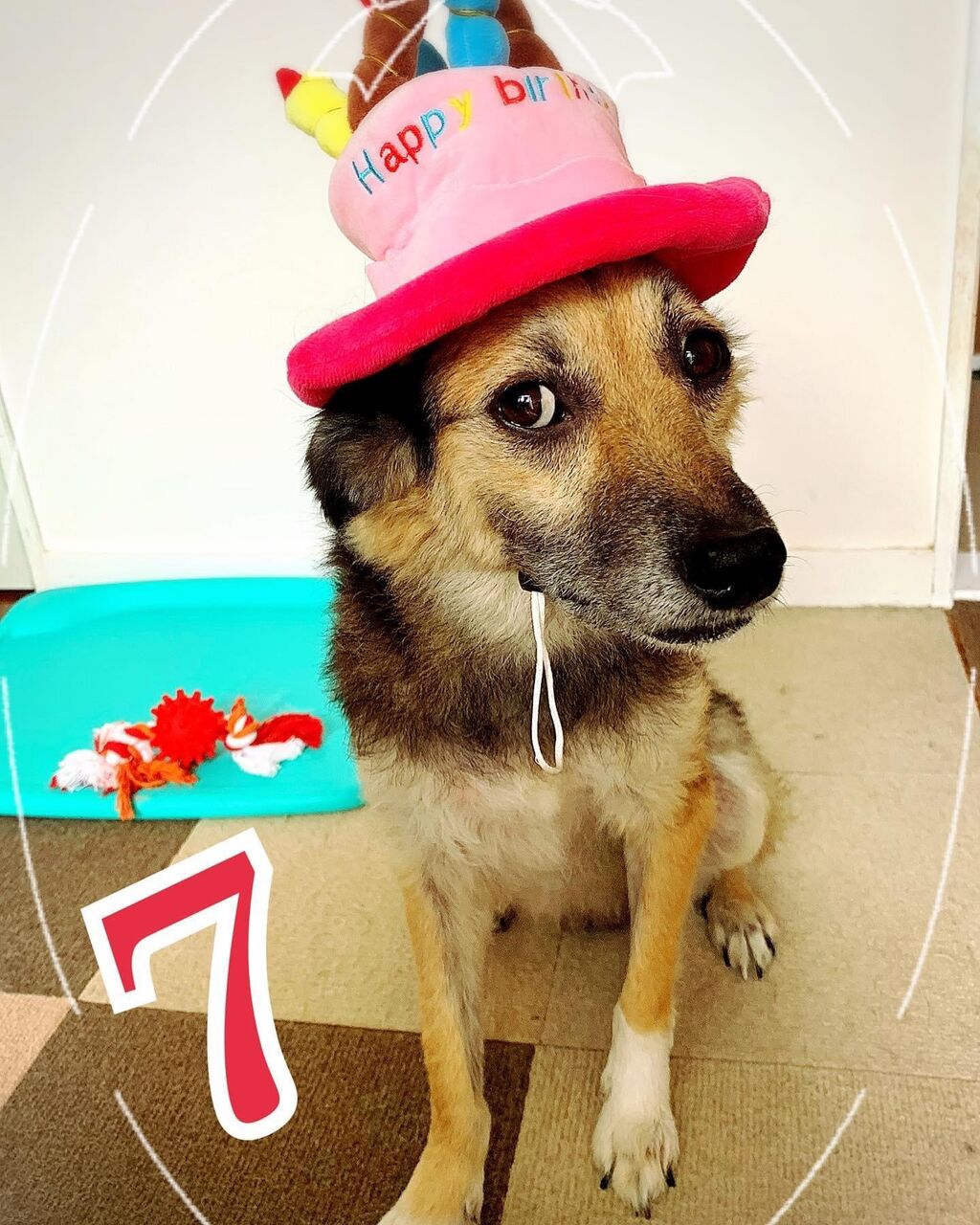 83A57A6A-1091-4601-A809-6A1DD3F324A6