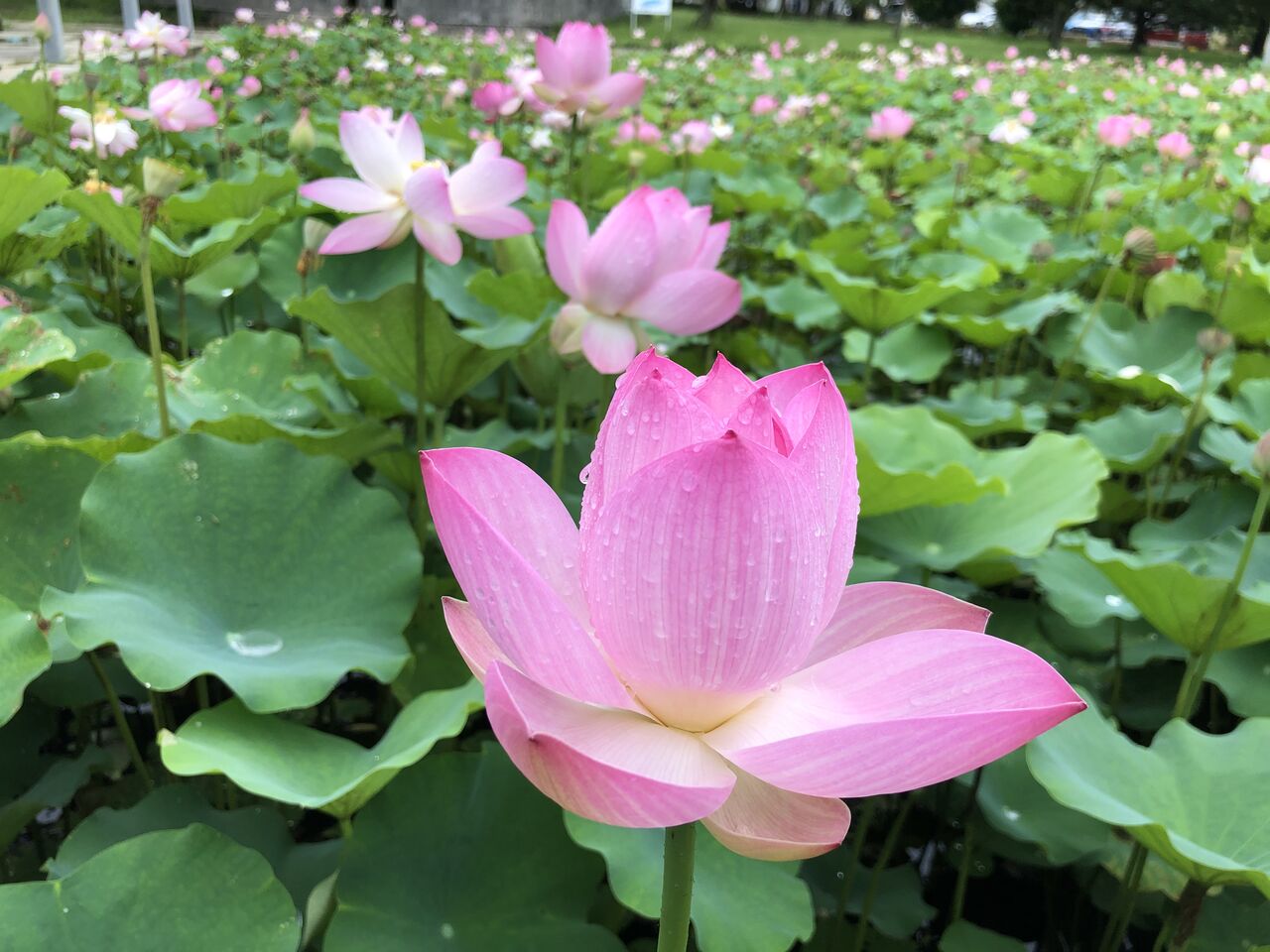 0923E3CE-14EC-414E-9C15-AFF9DD4C4915